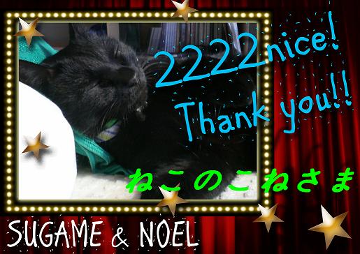 2222nice-Thank-you!!-neko.JPG