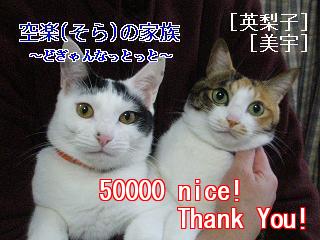 5000020nice!sora-san.jpg