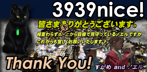 3939nice!-Thank-You!.jpg